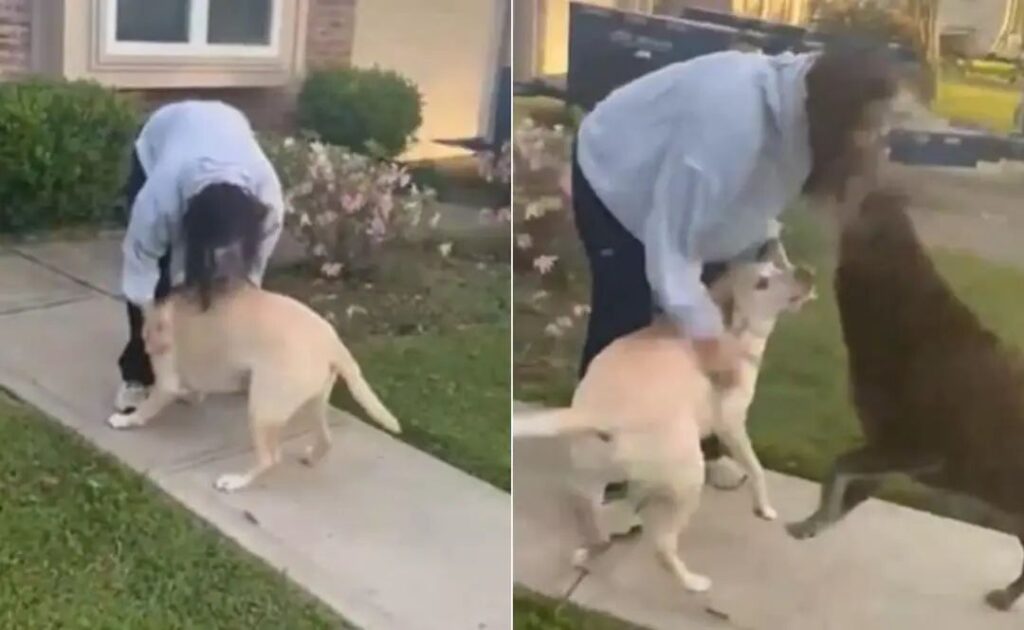 सुनीता विलियम्स ने अपने कुत्ते को गले लगाकर खूब किया दुलार, एलन मस्क भी हुए भावुक