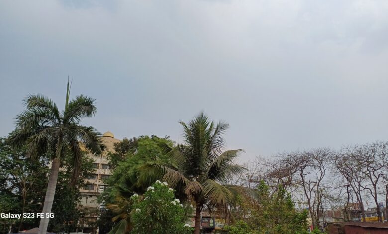 छत्तीसगढ़ में बदला मौसम, दक्षिण भागों के कई जिलों में तेज आंधी-बारिश के आसार छत्तीसगढ़ में बदला मौसम, दक्षिण भागों के कई जिलों में तेज आंधी-बारिश के आसार