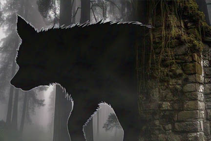 ‘अज्ञात जानवर’ ने सोते हुए 17 लोगों को काटा, छह लोगों की रहस्यमय हालात में मौत ‘अज्ञात जानवर’ ने सोते हुए 17 लोगों को काटा, छह लोगों की रहस्यमय हालात में मौत