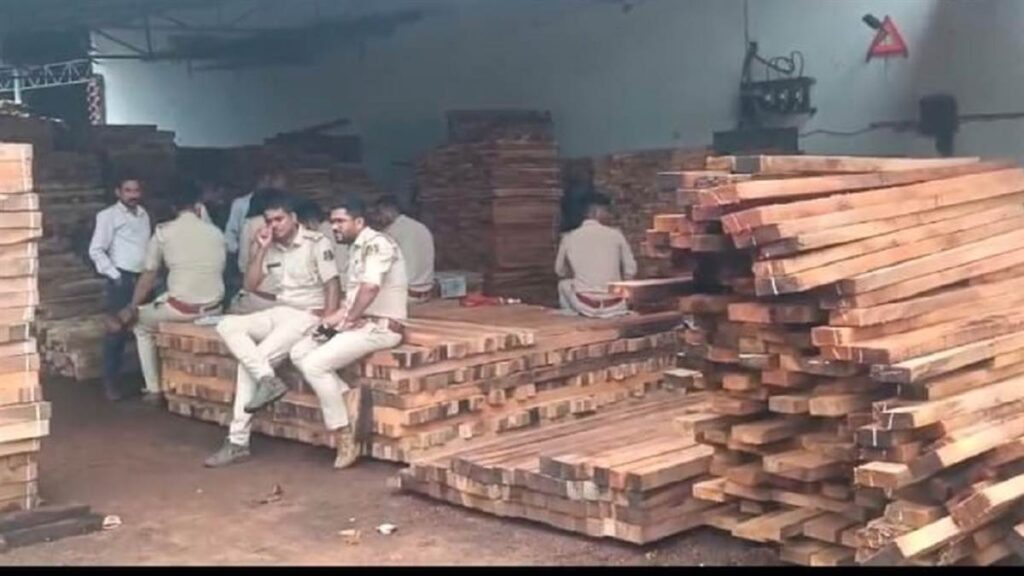 एक लाइसेंस की आड़ में तीन मिलों का संचालन, सरकारी डिपो की जगह आरा मिल पहुंची थी सरकारी साल की लकड़ियां - राष्ट्रवाणी - Chhattisgarh समाचार