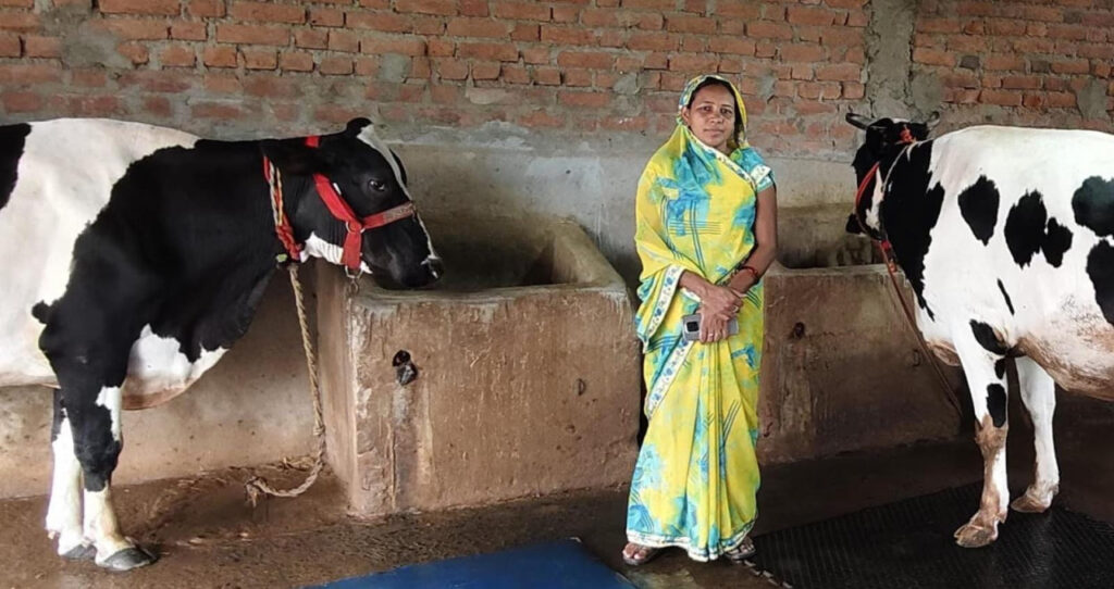 कृत्रिम गर्भाधान से बदली प्रेम कुमारी की तकदीर, डेयरी से हर माह ₹25 हजार की आय - राष्ट्रवाणी - Chhattisgarh समाचार