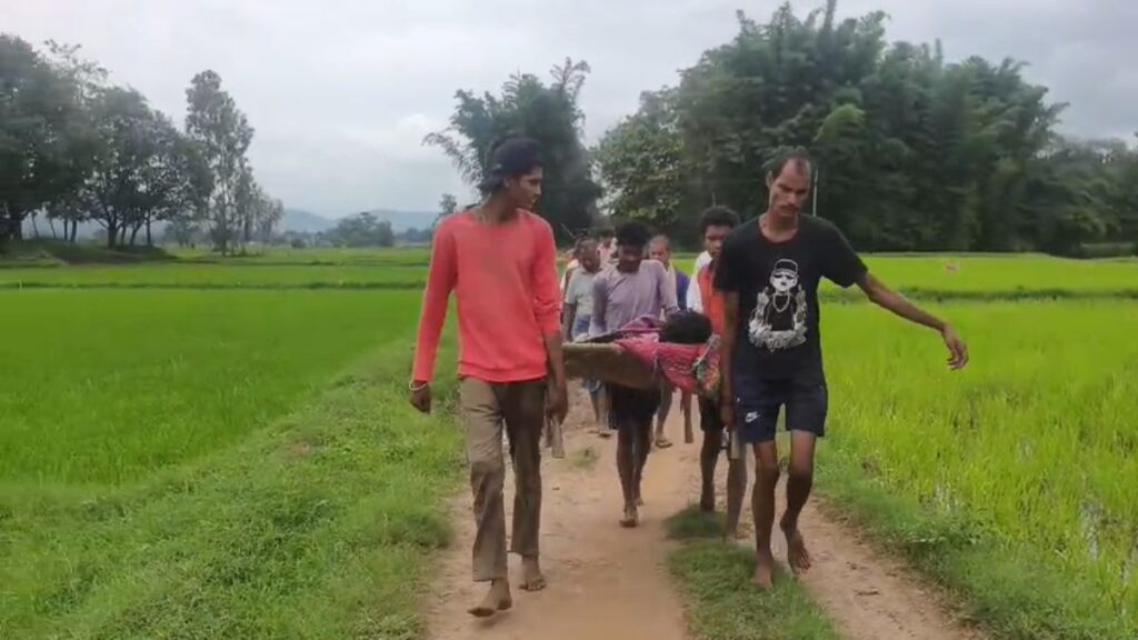 लापरवाह सिस्टम! सड़क का अभाव, घायल युवक को खाट पर ढोकर एक किलोमीटर पैदल चले ग्रामीण - राष्ट्रवाणी - Chhattisgarh समाचार लापरवाह सिस्टम! सड़क का अभाव, घायल युवक को खाट पर ढोकर एक किलोमीटर पैदल चले ग्रामीण - राष्ट्रवाणी - Chhattisgarh समाचार