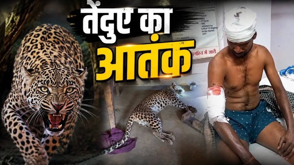 तेंदुए का आतंक: घर में घुसकर दो ग्रामीणों पर किया हमला, तो गुस्साए लोगों ने पीट-पीटकर मार डाला - राष्ट्रवाणी - Chhattisgarh समाचार
