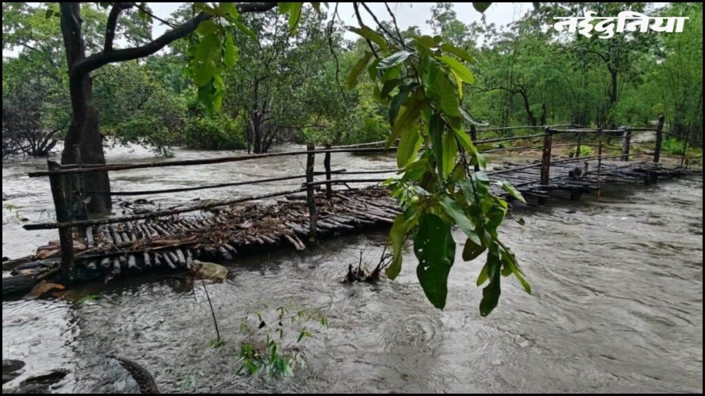छत्तीसगढ़ के 14 गांवों को मिली राहत, अबूझमाड़ में उफनते नालों पर जवानों ने खड़े किए पुल, सुरक्षित हुई आवाजाही - राष्ट्रवाणी - Chhattisgarh समाचार