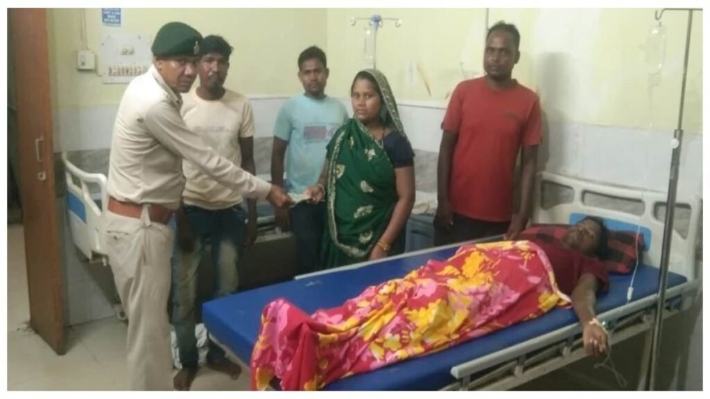 हाथियों के करीब जाकर वीडियो बनाना पड़ा भारी: आक्रामक हुए गजराज,कोरबा के जंगल में मची अफरातफरी - राष्ट्रवाणी - Chhattisgarh समाचार