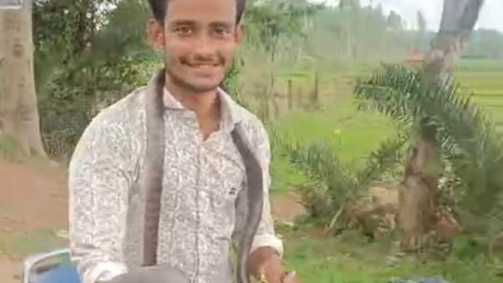 कांकेर में सांप के काटने पर युवक ने उसे गले में लपेटा और खुद बाइक चलाकर निकला अस्पताल, विदेो वायरल - राष्ट्रवाणी - Chhattisgarh समाचार कांकेर में सांप के काटने पर युवक ने उसे गले में लपेटा और खुद बाइक चलाकर निकला अस्पताल, विदेो वायरल - राष्ट्रवाणी - Chhattisgarh समाचार