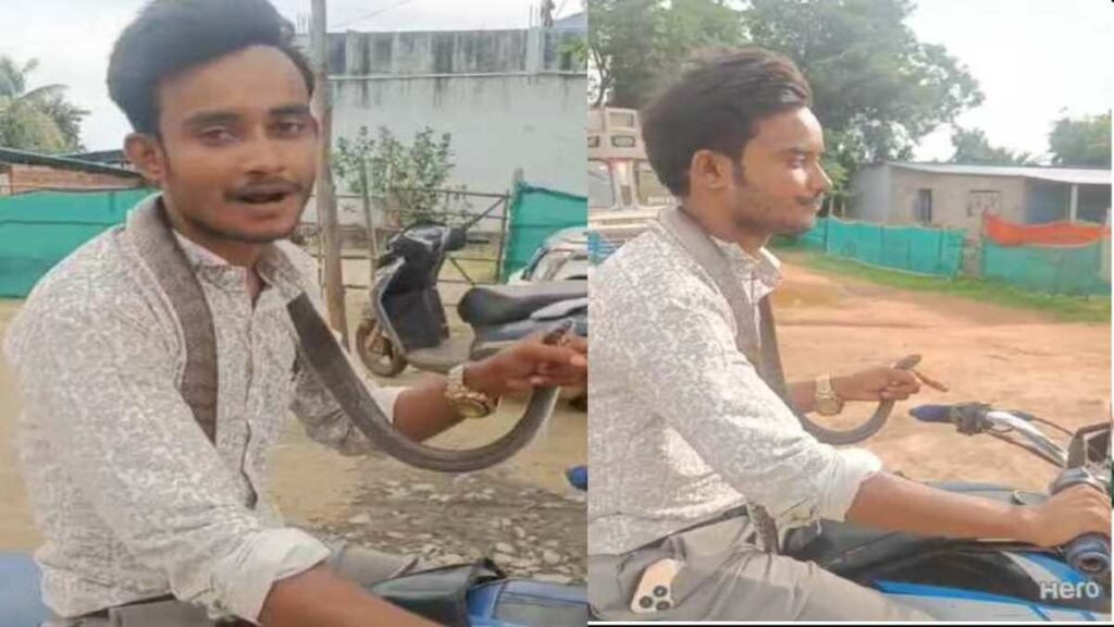 सांप ने काटा तो उसी सांप को गले में डालकर अस्पताल पहुंचा युवक, विदेो विराल - राष्ट्रवाणी - Chhattisgarh समाचार सांप ने काटा तो उसी सांप को गले में डालकर अस्पताल पहुंचा युवक, विदेो विराल - राष्ट्रवाणी - Chhattisgarh समाचार