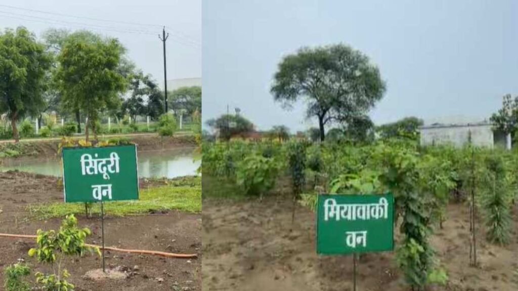 ऑपरेशन सिंदूर के वीरों को अनूठी सलामी : भखारा इति परिसर में आकार ले रहा ‘ऑपरेशन सिंदूर उद्यान’ - राष्ट्रवाणी - Chhattisgarh समाचार