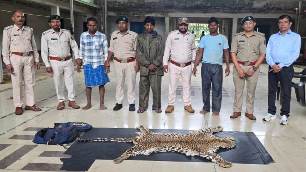 नारायणपुर में वन्यजीव तस्करी का पर्दाफाश: बाइक से ले जा रहे थे तेंदुए की खाल, तीन तस्कर गिरफ्तार - राष्ट्रवाणी - Chhattisgarh समाचार नारायणपुर में वन्यजीव तस्करी का पर्दाफाश: बाइक से ले जा रहे थे तेंदुए की खाल, तीन तस्कर गिरफ्तार - राष्ट्रवाणी - Chhattisgarh समाचार