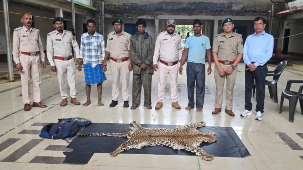 तेंदुए की खाल तस्करी का भंडाफोड़: वन विभाग ने 3 तस्करों को रंगे हाथ पकड़ा, दो बाइक जब्त - राष्ट्रवाणी - Chhattisgarh समाचार