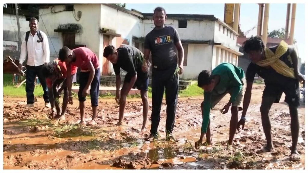 जर्जर सड़क पर धान का रोपा लगाकर वार्डवासियों ने जताया अनोखा विरोध: सूरजपुर नगर पंचायत प्रेमनगर का मामला - Chhattisgarh समाचार