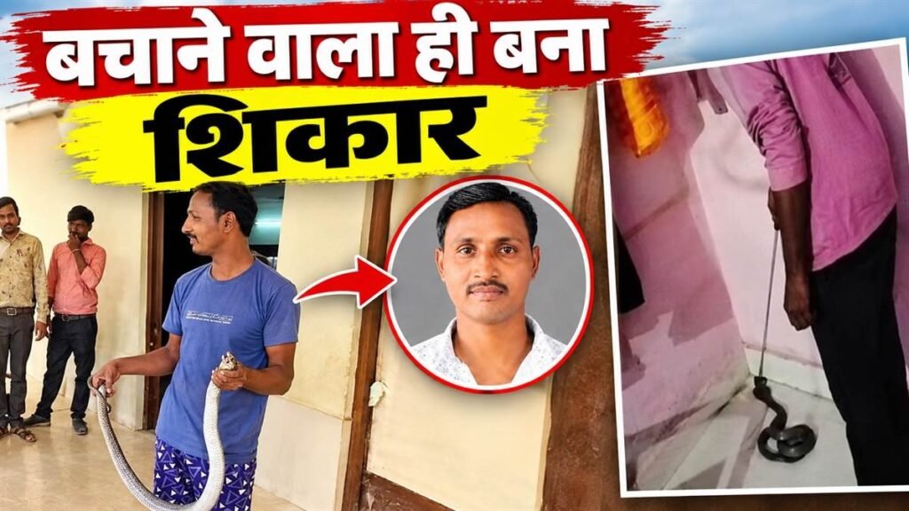 बेमेतरा में बचाने वाला ही बन गया शिकार: रेस्क्यू करते समय कोबरा के डसने से स्नेक कैचर की मौत – राष्ट्रवाणी बेमेतरा में बचाने वाला ही बन गया शिकार: रेस्क्यू करते समय कोबरा के डसने से स्नेक कैचर की मौत – राष्ट्रवाणी
