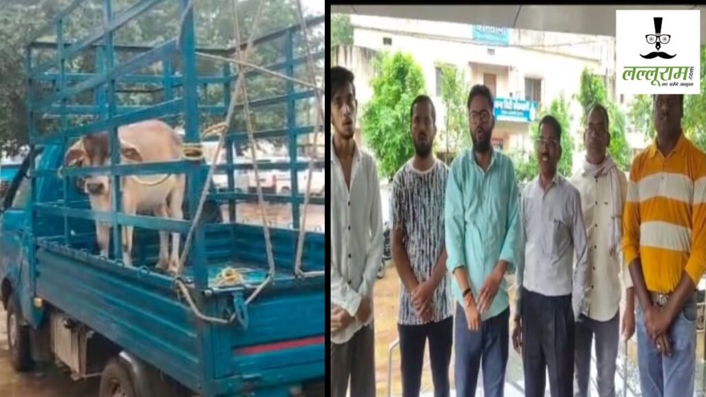 Ajab-Gajab : ‘साहब बैल के खिलाफ ही प्राथमिकी (एफआईआर) कर दीजिए’… लोगों की अनोखी फरियाद से पुलिस भी रह गई हैरान, जानिए पूरा मामला – राष्ट्रवाणी Ajab-Gajab : ‘साहब बैल के खिलाफ ही प्राथमिकी (एफआईआर) कर दीजिए’… लोगों की अनोखी फरियाद से पुलिस भी रह गई हैरान, जानिए पूरा मामला – राष्ट्रवाणी