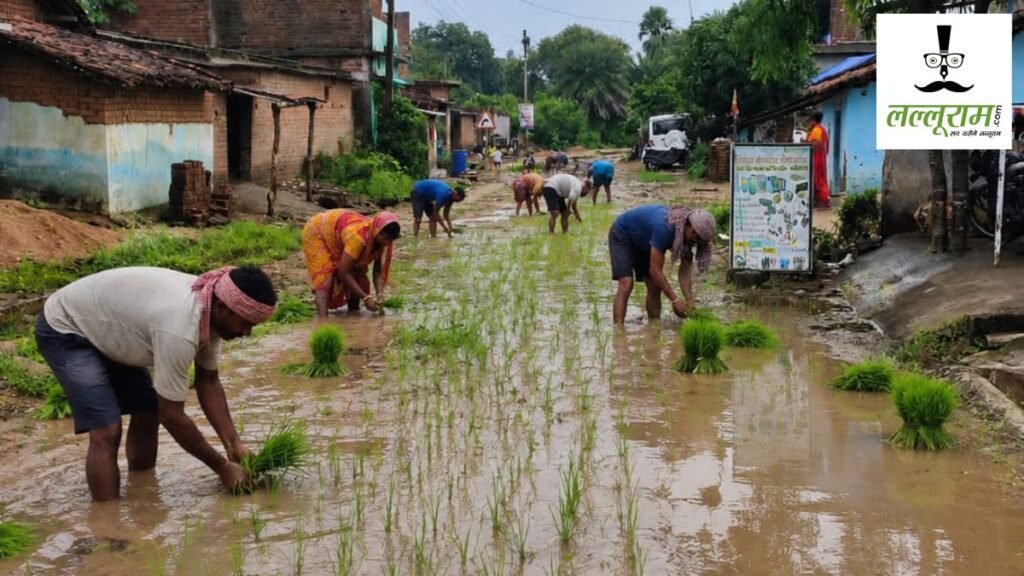CG News : ये है PMGSY रोड का हाल, मरम्मत की मांग को लेकर ग्रामीणों ने किया अनोखा प्रदर्शन – राष्ट्रवाणी