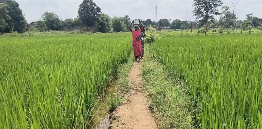 15 सालों में कहां से कहां पहुंच गए लोग पर बालोद के इस गांव में नहीं बदली पेयजल की समस्या की तस्वीर – राष्ट्रवाणी