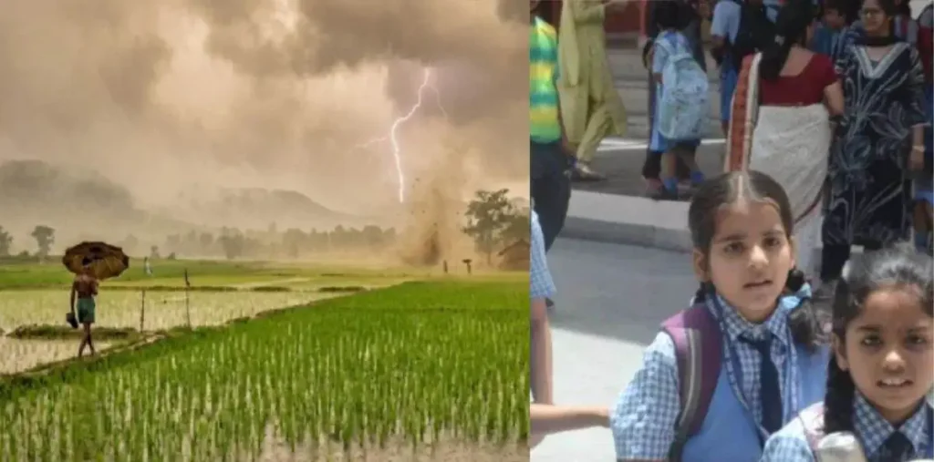 आज बस्तर के सभी स्कूलों की छुट्टी, DM ने लगातार हो रही तेज बारिश के कारण लिया फैसला – राष्ट्रवाणी आज बस्तर के सभी स्कूलों की छुट्टी, DM ने लगातार हो रही तेज बारिश के कारण लिया फैसला – राष्ट्रवाणी