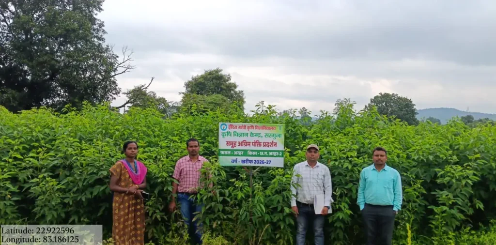 सेवा संकल्प अभियान : 55 हेक्टेयर में लहलहा रही अरहर की उन्नत किस्में, फूल आने की अवस्था में पहुंची फसल – राष्ट्रवाणी सेवा संकल्प अभियान : 55 हेक्टेयर में लहलहा रही अरहर की उन्नत किस्में, फूल आने की अवस्था में पहुंची फसल – राष्ट्रवाणी