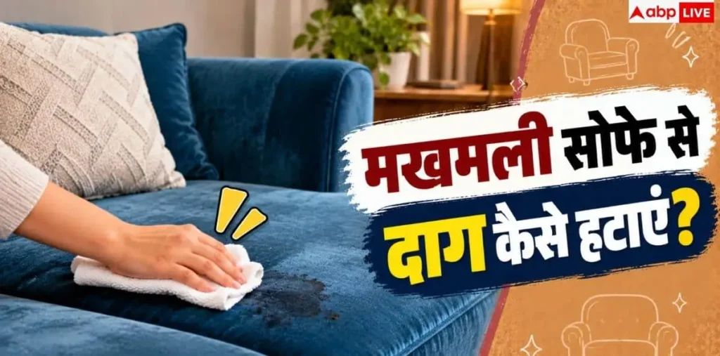How To Clean Velvet Furniture: मखमली सोफे से दाग कैसे हटाएं? नोट करें 2 मिनट का जादुई हैक – राष्ट्रवाणी How To Clean Velvet Furniture: मखमली सोफे से दाग कैसे हटाएं? नोट करें 2 मिनट का जादुई हैक – राष्ट्रवाणी