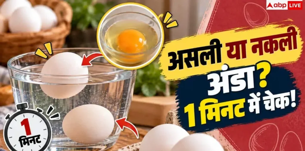 Real Egg Identification: असली और नकली अंडे की पहचान कैसे करें? नोट करें 2 मिनट का टेस्ट – राष्ट्रवाणी Real Egg Identification: असली और नकली अंडे की पहचान कैसे करें? नोट करें 2 मिनट का टेस्ट – राष्ट्रवाणी