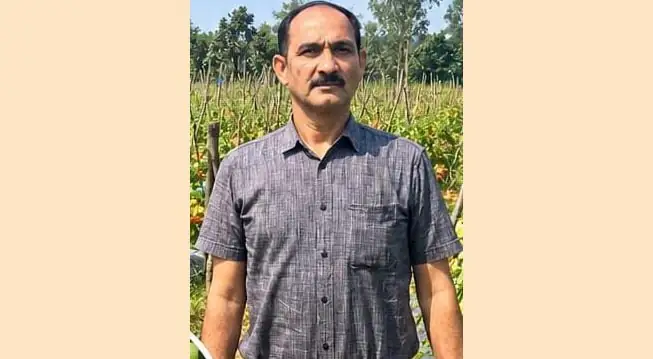 उन्नत टमाटर की खेती से शाहिद की मेहनत लाई रंग, 2 एकड़ में कमाए 1.20 लाख रुपये, वजह जानकर हो जाएंगे हैरान – राष्ट्रवाणी उन्नत टमाटर की खेती से शाहिद की मेहनत लाई रंग, 2 एकड़ में कमाए 1.20 लाख रुपये, वजह जानकर हो जाएंगे हैरान – राष्ट्रवाणी