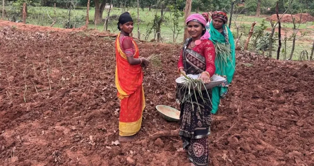 लेमन ग्रास की खुशबू से महक रही आत्मनिर्भरता, जीपीएम की महिलाएं बढ़ रहीं ‘लखपति दीदी’ बनने की राह पर – राष्ट्रवाणी
