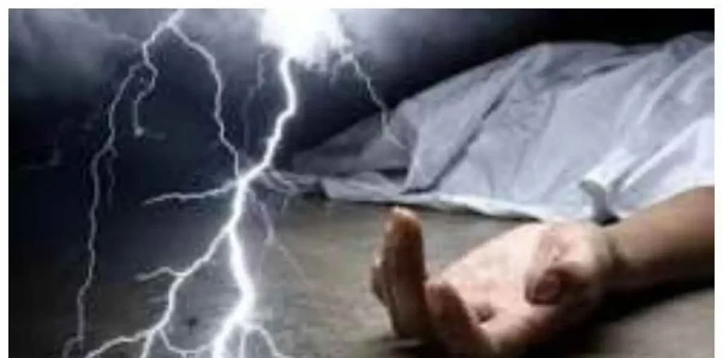 खेत गए दो साढू भाइयों पर गिरी गाज, कोटा में दर्दनाक हादसा, अस्पताल पहुंचने से पहले दोनों ही मौत – राष्ट्रवाणी