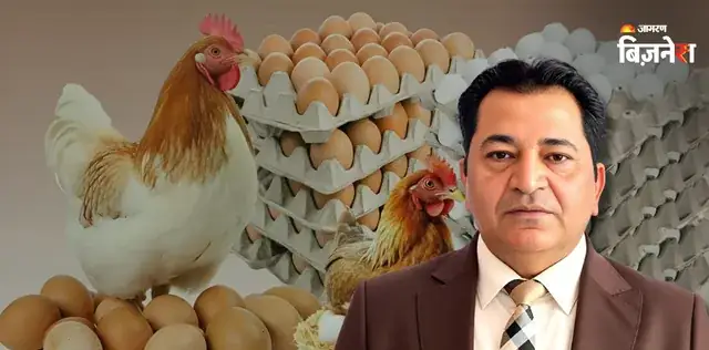 चिकन-अंडों की कीमतों में फिर आएगा उछाल? मक्का-सोयाबीन की बढ़ते भाव का पोल्ट्री सेक्टर में क्या असर? – राष्ट्रवाणी चिकन-अंडों की कीमतों में फिर आएगा उछाल? मक्का-सोयाबीन की बढ़ते भाव का पोल्ट्री सेक्टर में क्या असर? – राष्ट्रवाणी