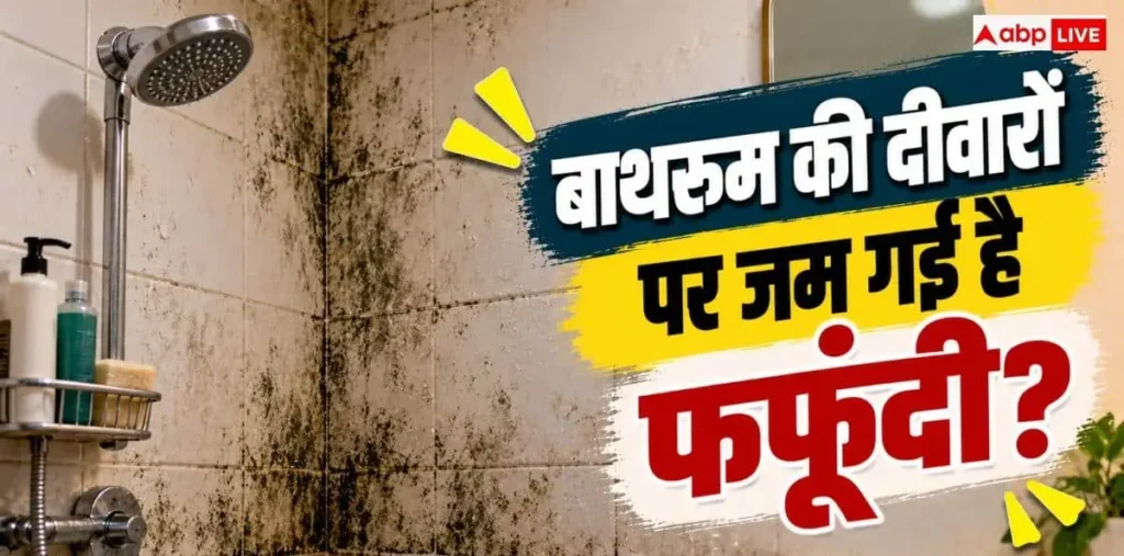 Bathroom Wall Mold: बाथरूम की दीवारों पर जम गई है फफूंदी? इसे ऐसे करें ठीक – राष्ट्रवाणी