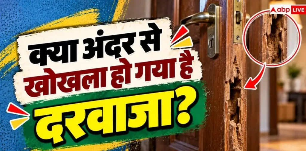 Early Signs Of Termites: लकड़ी का दरवाजा खा रही है दीमक? नोट करें पहचान के 5 शुरुआती संकेत – राष्ट्रवाणी Early Signs Of Termites: लकड़ी का दरवाजा खा रही है दीमक? नोट करें पहचान के 5 शुरुआती संकेत – राष्ट्रवाणी