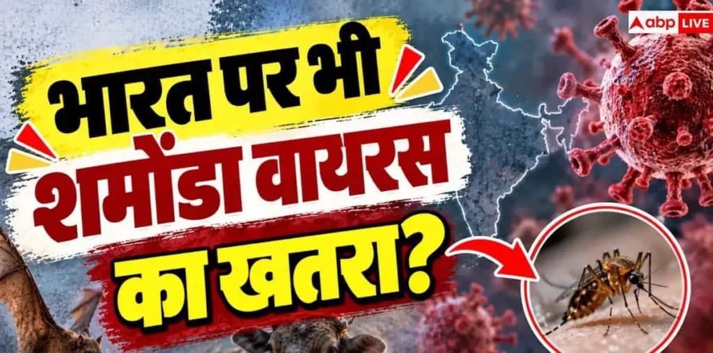 Shamonda Virus: फ्रांस में फैला शमोंडा वायरस, भारत के लिए कितना बड़ा खतरा, वजह जानकर हो जाएंगे हैरान – राष्ट्रवाणी Shamonda Virus: फ्रांस में फैला शमोंडा वायरस, भारत के लिए कितना बड़ा खतरा, वजह जानकर हो जाएंगे हैरान – राष्ट्रवाणी