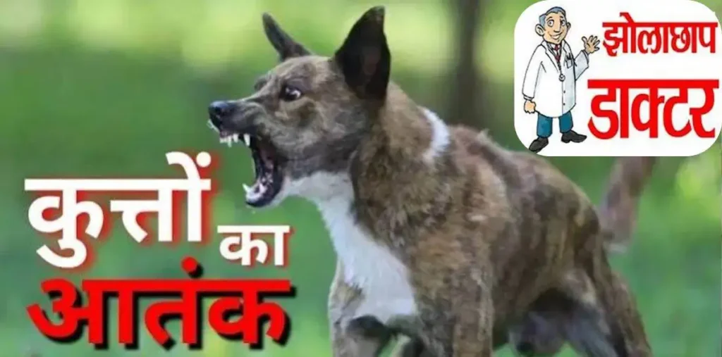 सूरजपुर: छत्तीसगढ़ के सूरजपुर जिले में पागल कुत्ते के काटने के बाद झोलाछाप ने लगा दिए टांके, साढ़े तीन साल के मासूम की मौत – राष्ट्रवाणी सूरजपुर: छत्तीसगढ़ के सूरजपुर जिले में पागल कुत्ते के काटने के बाद झोलाछाप ने लगा दिए टांके, साढ़े तीन साल के मासूम की मौत – राष्ट्रवाणी