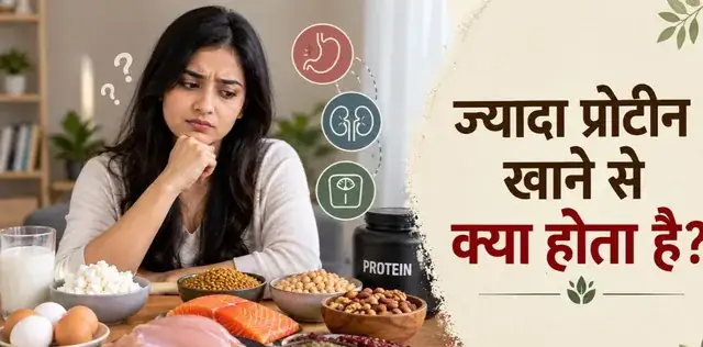 हाई-प्रोटीन डाइट का ट्रेंड अपना रहे हैं? शरीर की जरूरत समझे बिना न बढ़ाएं मात्रा – following the highprotein craze 5 dangers of blindly increasing your intake – राष्ट्रवाणी हाई-प्रोटीन डाइट का ट्रेंड अपना रहे हैं? शरीर की जरूरत समझे बिना न बढ़ाएं मात्रा – following the highprotein craze 5 dangers of blindly increasing your intake – राष्ट्रवाणी
