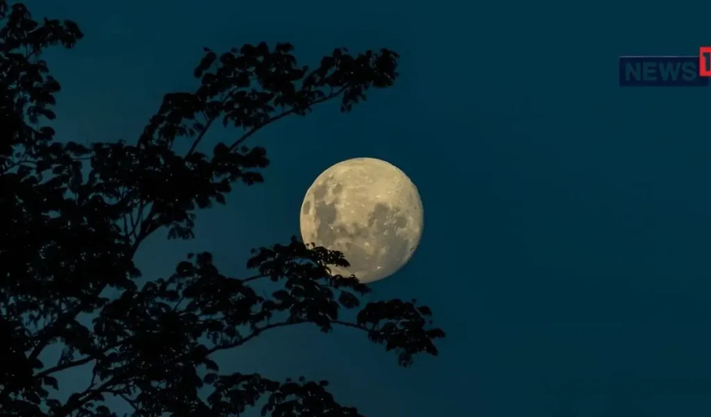 Karwa Chauth 2026: राजस्थान में करवा चौथ पर कब दिखेगा चांद? – राष्ट्रवाणी Karwa Chauth 2026: राजस्थान में करवा चौथ पर कब दिखेगा चांद? – राष्ट्रवाणी