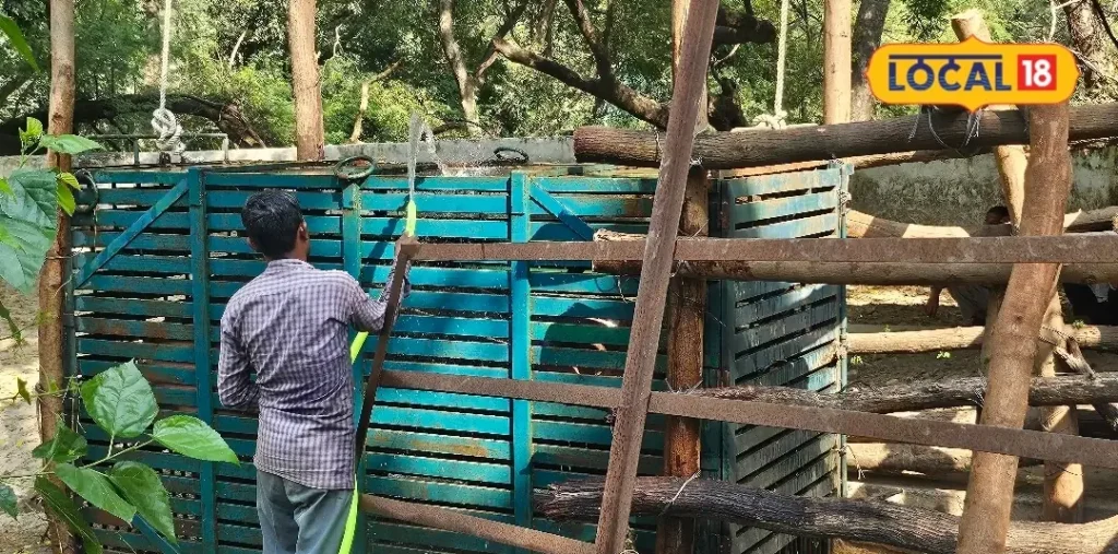 20 हजार लीटर पानी से नहाते हुए इंदौर जाएगा ‘सतीश’, बदले में कानपुर आई ‘बिजली’, जानिए माजरा – राष्ट्रवाणी 20 हजार लीटर पानी से नहाते हुए इंदौर जाएगा ‘सतीश’, बदले में कानपुर आई ‘बिजली’, जानिए माजरा – राष्ट्रवाणी