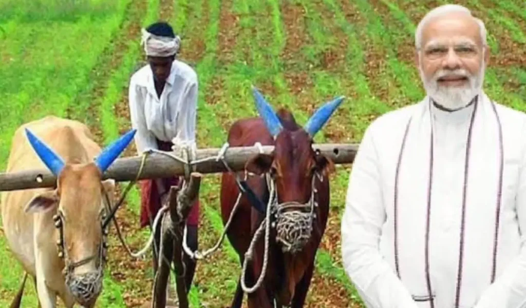 प्रधानमंत्री Kisan 24th Kisht: इन 5 गलतियों से अटक सकते हैं 2000 रुपये, तुरंत करें चेक, इस बड़े खुलासे से मचा हड़कंप – राष्ट्रवाणी प्रधानमंत्री Kisan 24th Kisht: इन 5 गलतियों से अटक सकते हैं 2000 रुपये, तुरंत करें चेक, इस बड़े खुलासे से मचा हड़कंप – राष्ट्रवाणी