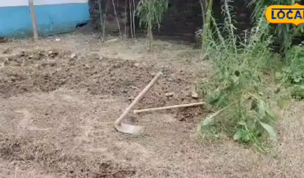 आलू, मटर, गोभी लगाने से पहले सुल्तानपुर के किसान करा लें मिट्टी की जांच, वजह जानकर हो जाएंगे हैरान – राष्ट्रवाणी आलू, मटर, गोभी लगाने से पहले सुल्तानपुर के किसान करा लें मिट्टी की जांच, वजह जानकर हो जाएंगे हैरान – राष्ट्रवाणी
