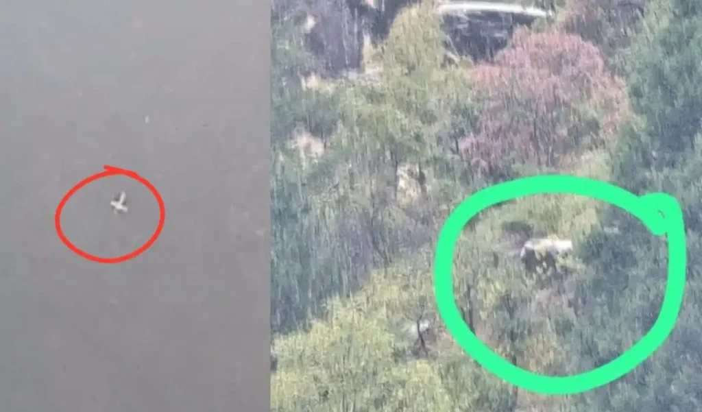 कैसे हुआ हादसा? हेलिकॉप्टर पर कौन-कौन था सवार, जोशीमठ क्रैश का पूरा टाइमलाइन – राष्ट्रवाणी