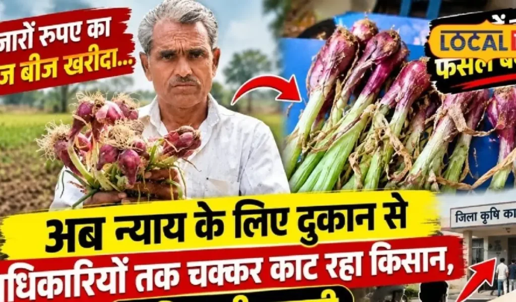 किसान को दिया खराब बीज? पूरी फसल बर्बाद, अब इंसाफ के लिए दर-दर के चक्कर – राष्ट्रवाणी किसान को दिया खराब बीज? पूरी फसल बर्बाद, अब इंसाफ के लिए दर-दर के चक्कर – राष्ट्रवाणी